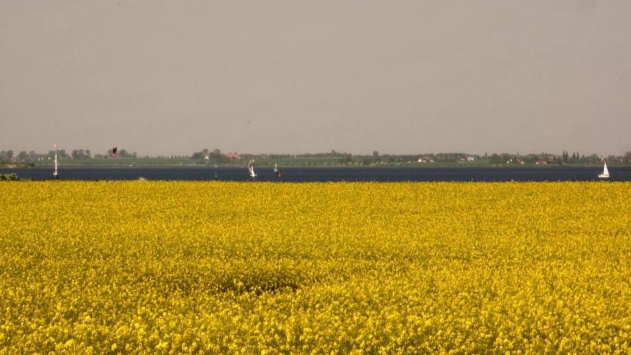 AreaSummer20KM AreaSummer20KM